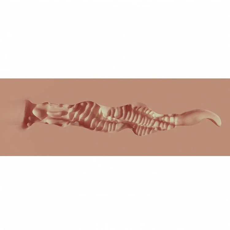 xkn001tan,6.webp
