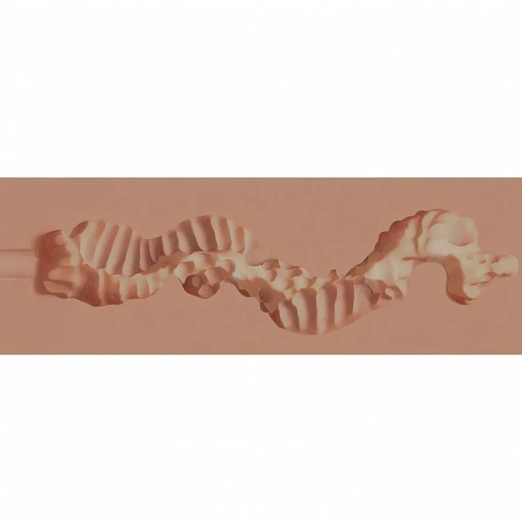 xkn017tan,5.webp