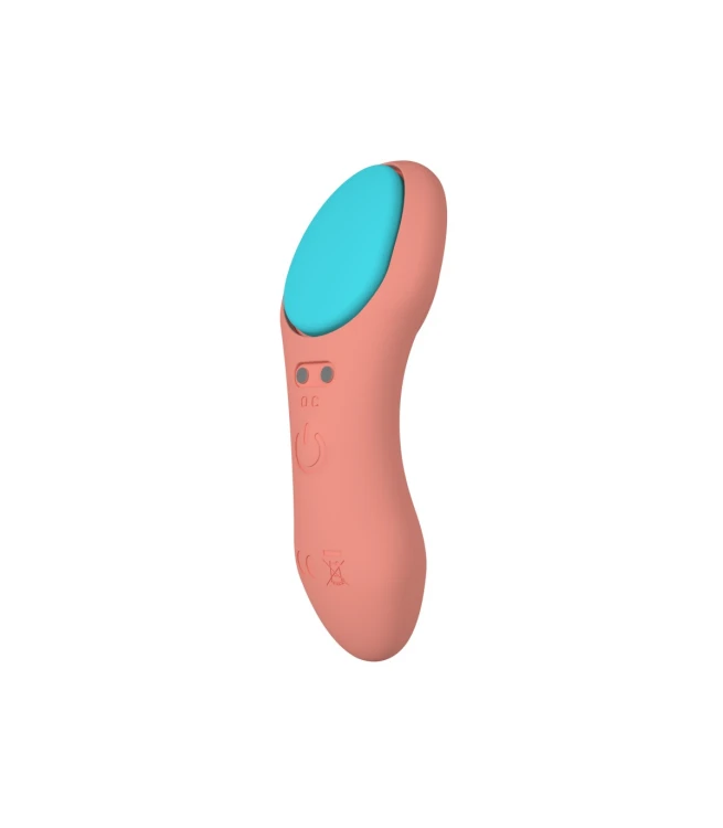 pac9501,6.jpg