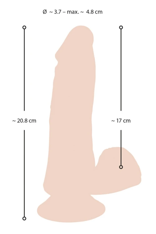 5536700000,11.jpg