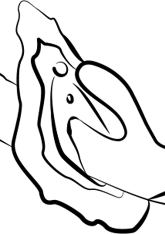 5980890000,3.jpg