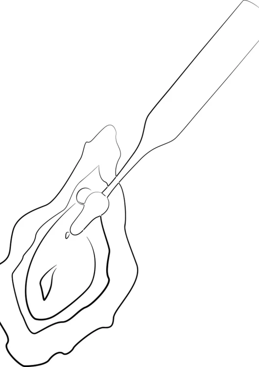 54032510000,5.jpg