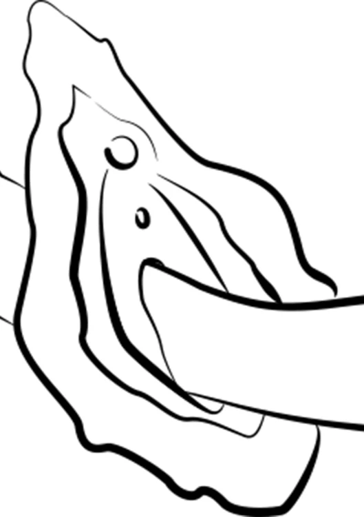 5980700000,3.jpg