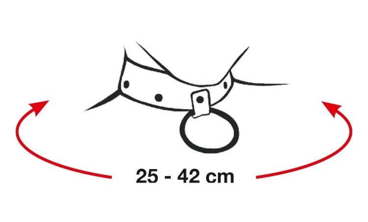 24918421001,8.jpg