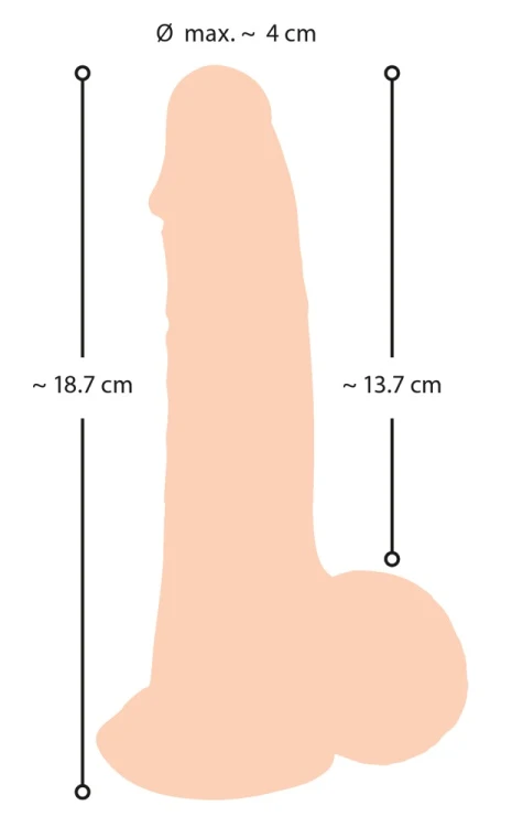 5548120000,9.jpg