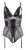 body-10034237,10.jpg