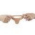 anal-dildo-lovetoy,lv1122,5.jpg