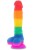 10556-x-rainbow,4.jpg