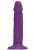 10150-x-purple,2.jpg