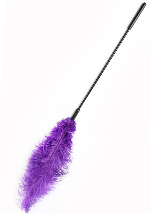 16899-x-purple,1.jpg