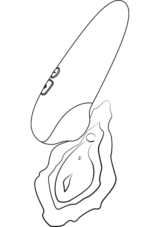 54039280000,13.jpg